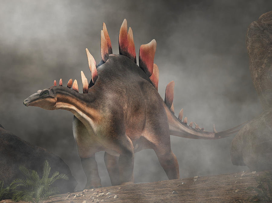 Stegosaurus in Fog Digital Art by Daniel Eskridge