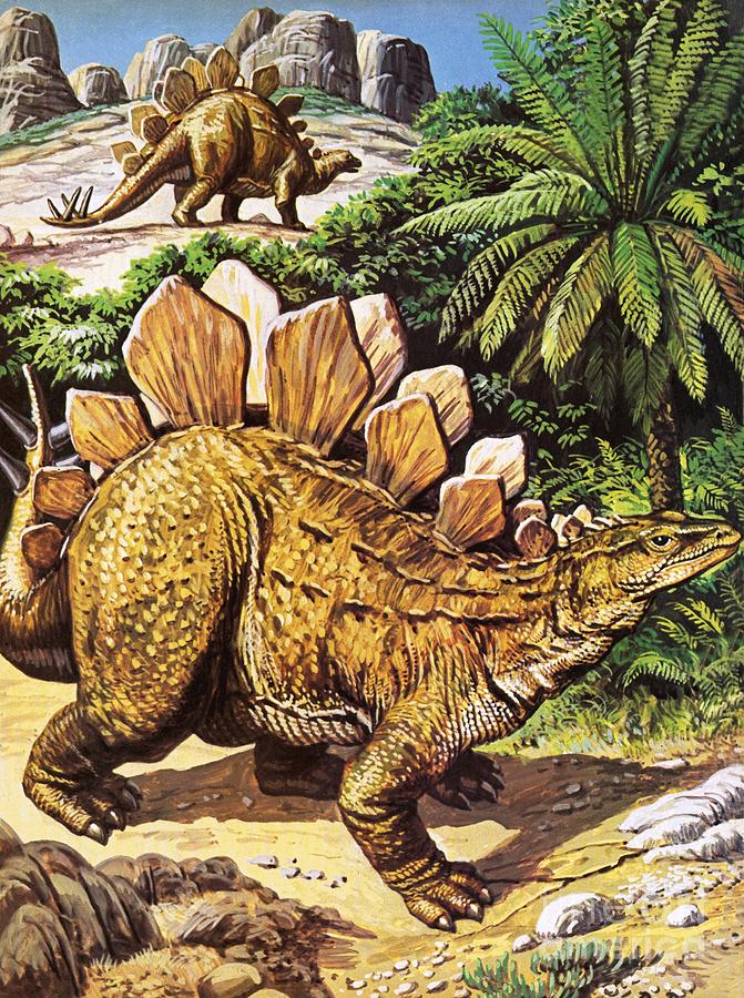 Prehistoric Painting - Stegosaurus by Roger Payne
