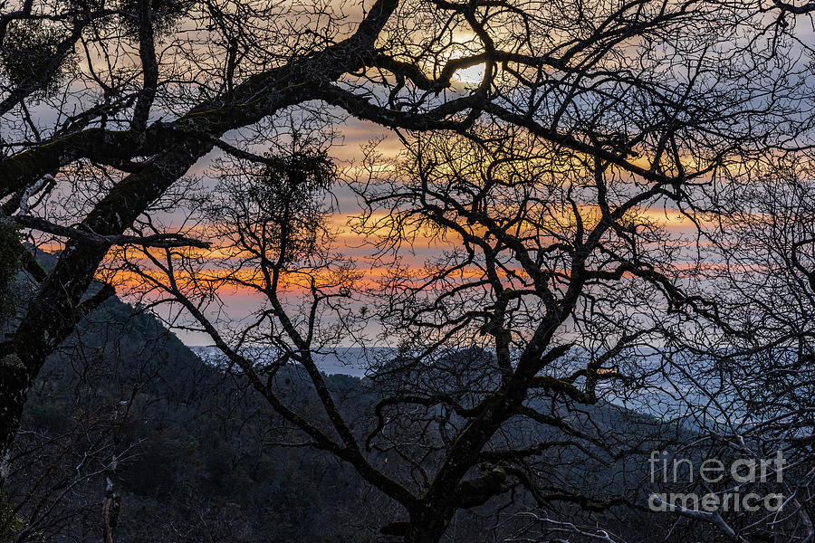 Steinbeck Sunset Photograph by Jeff Hubbard