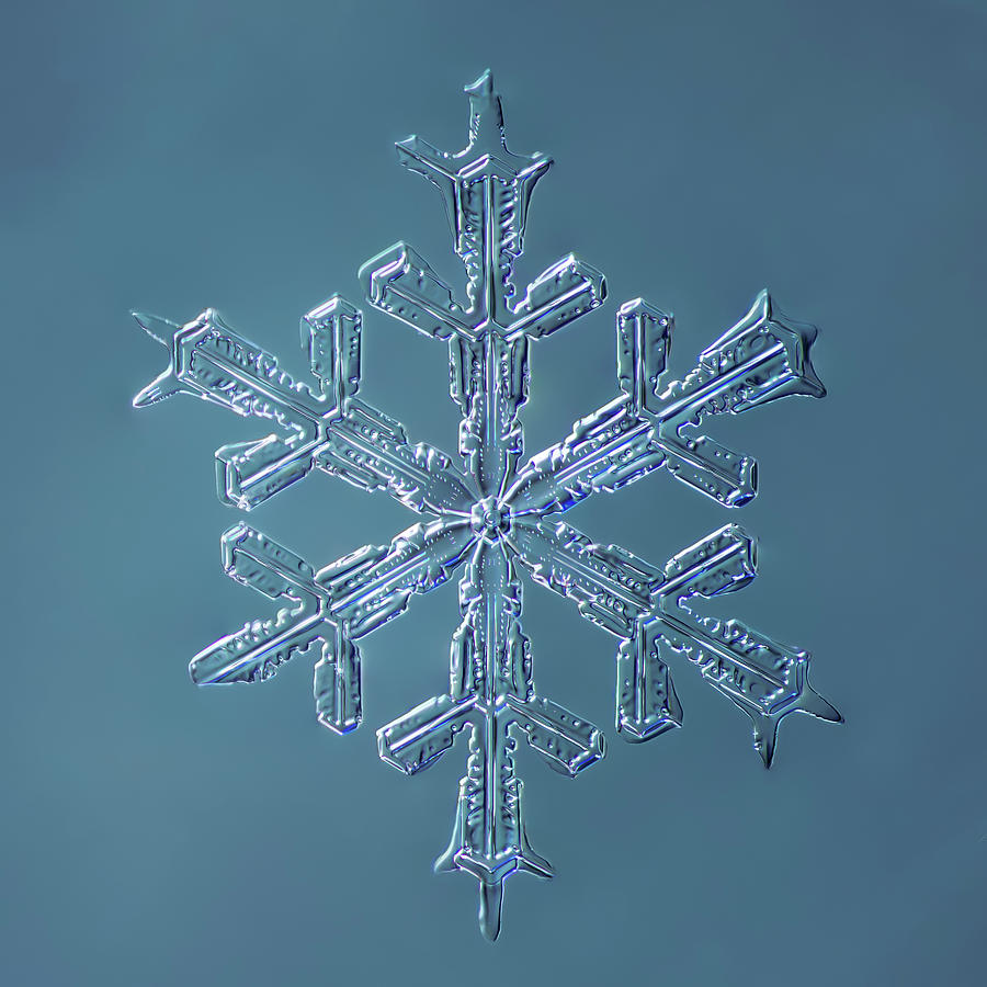 Nature Digital Art - Stellar Dendrite Snowflake 001.2.16.2014 by Print Collection
