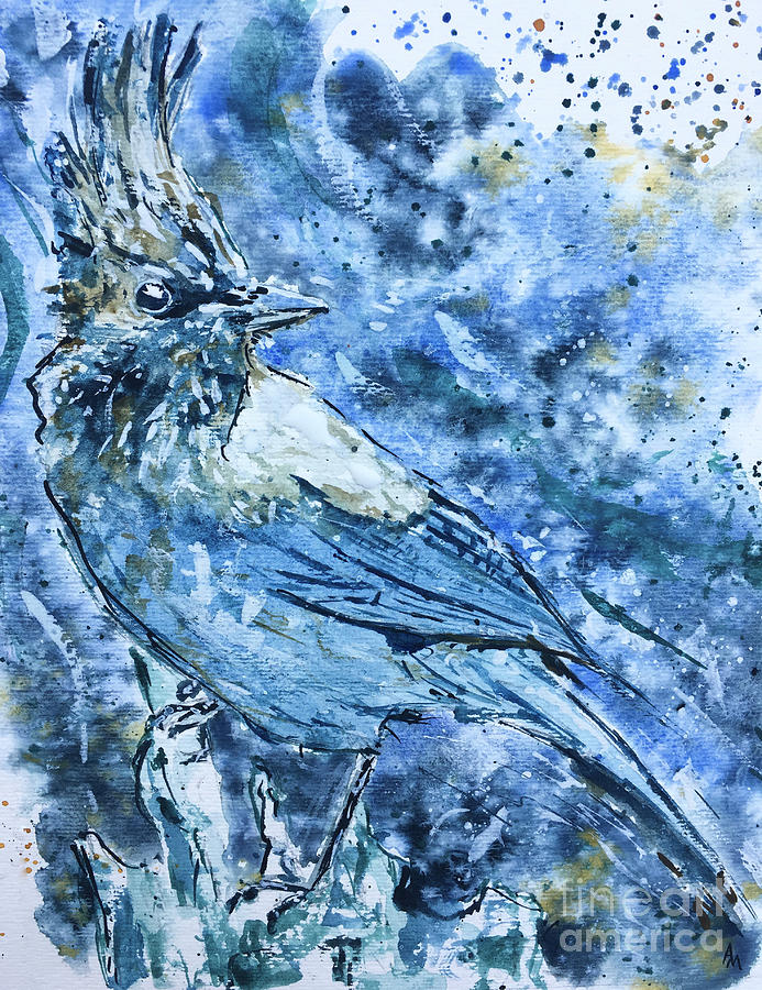 Nature Painting - Stellers Jay  by Andrew Marshall
