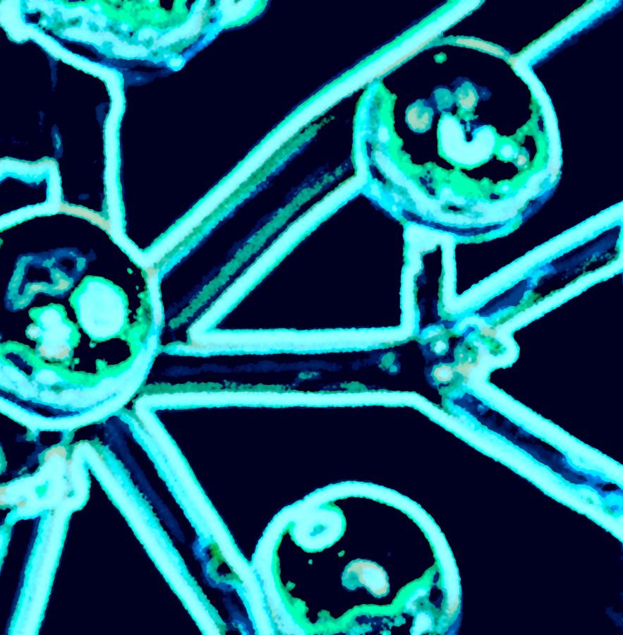 Stems and Orbs in Blue Neon by AJP Stems and Orbs in Blue Neon by AJP