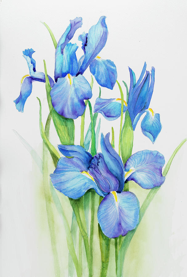 Stems Of Blue Iris Painting by Joanne Porter - Pixels