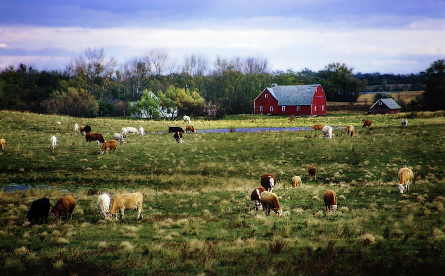 Stensby Farm circa 1980 when still occupied by Peter Herman Stensby Farm circa 1980 when still occupied by Peter Herman