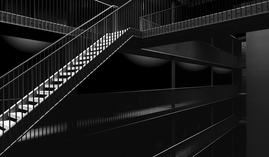 Step Into The Dark Photograph by Greetje Van Son Step Into The Dark Photograph by Greetje Van Son