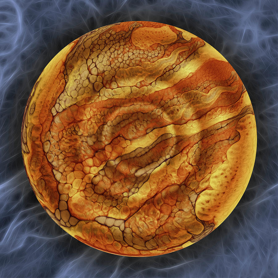 Step Lightly On The Path Of Esoteric Pebbles by Becky Titus Step Lightly On The Path Of Esoteric Pebbles by Becky Titus
