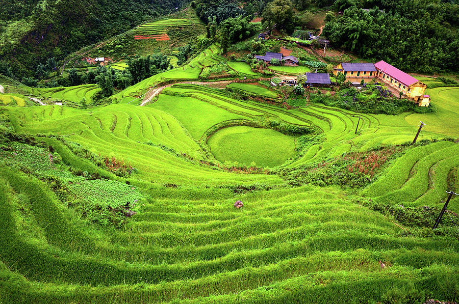 Step Of Rice Terrace Photograph by Ekkachai Pholrojpanya