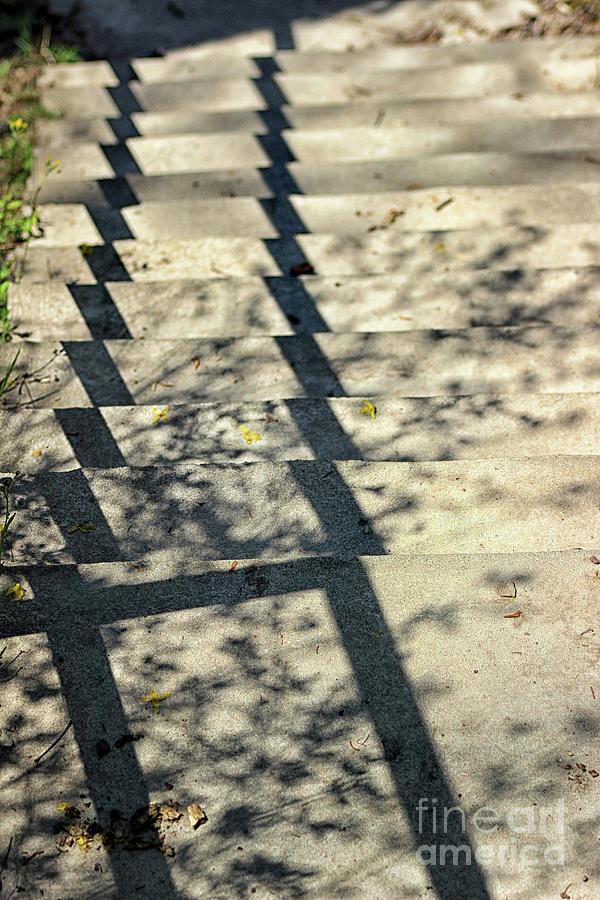 Abstract Photograph - Step Shadows 1 by Karen Adams