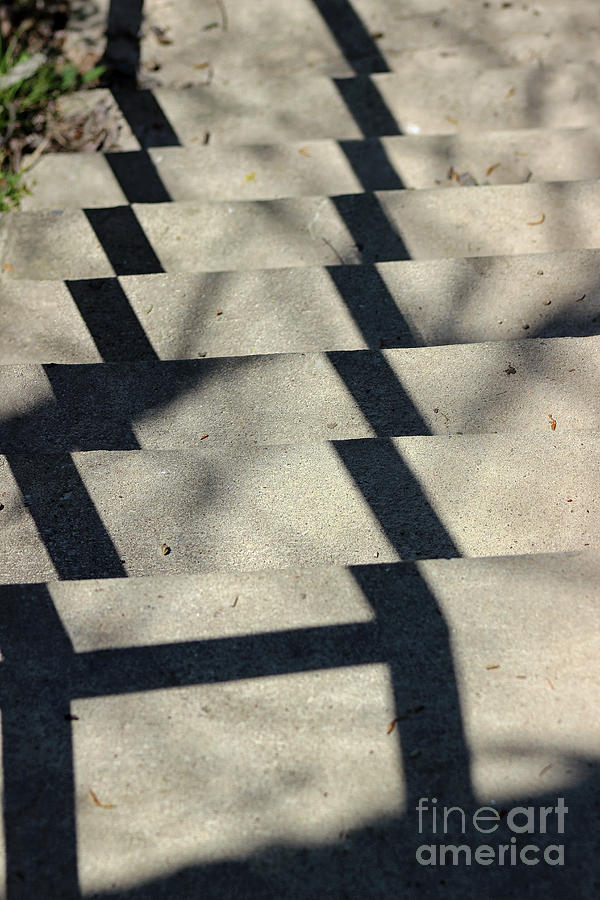 Step Shadows 2 by Karen Adams Step Shadows 2 by Karen Adams
