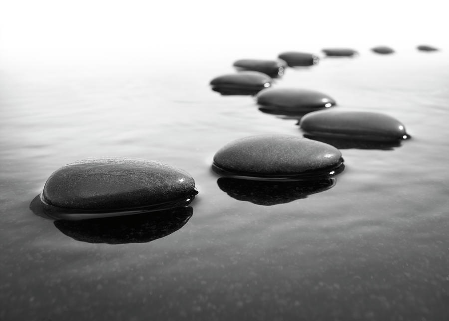 Stepping Stone Photograph by Ansonsaw
