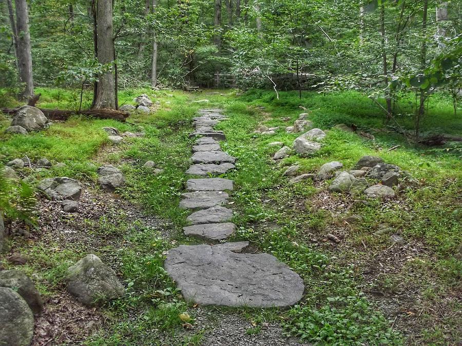 Stepping Stone Path - Kinnelon Photograph by Christopher Lotito