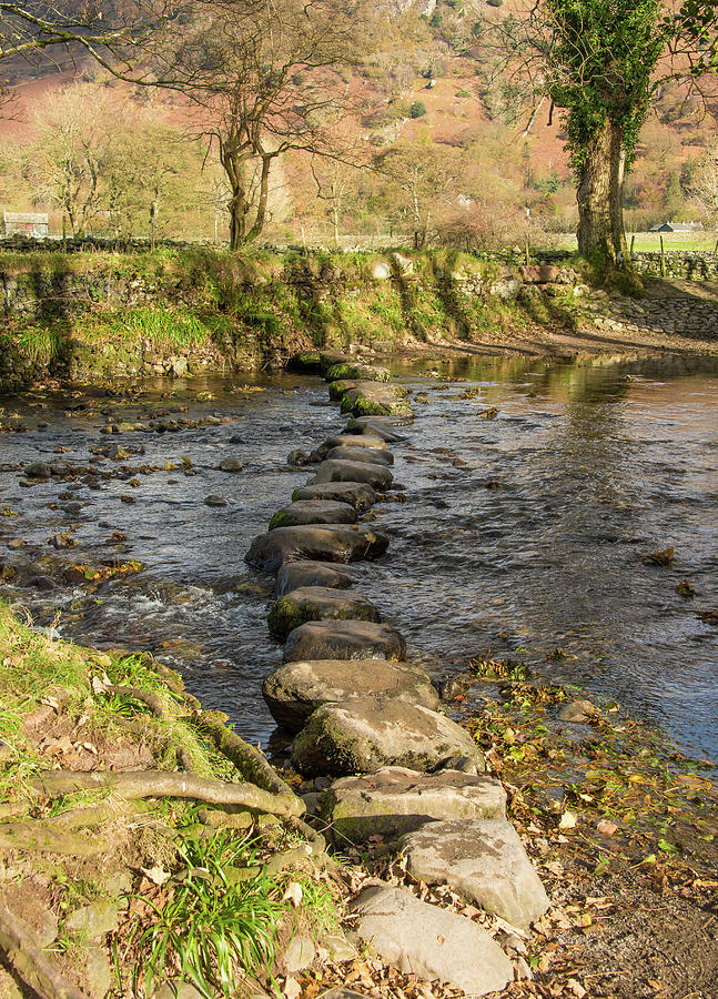 Stepping stones across a stream Photograph by Roy Pedersen