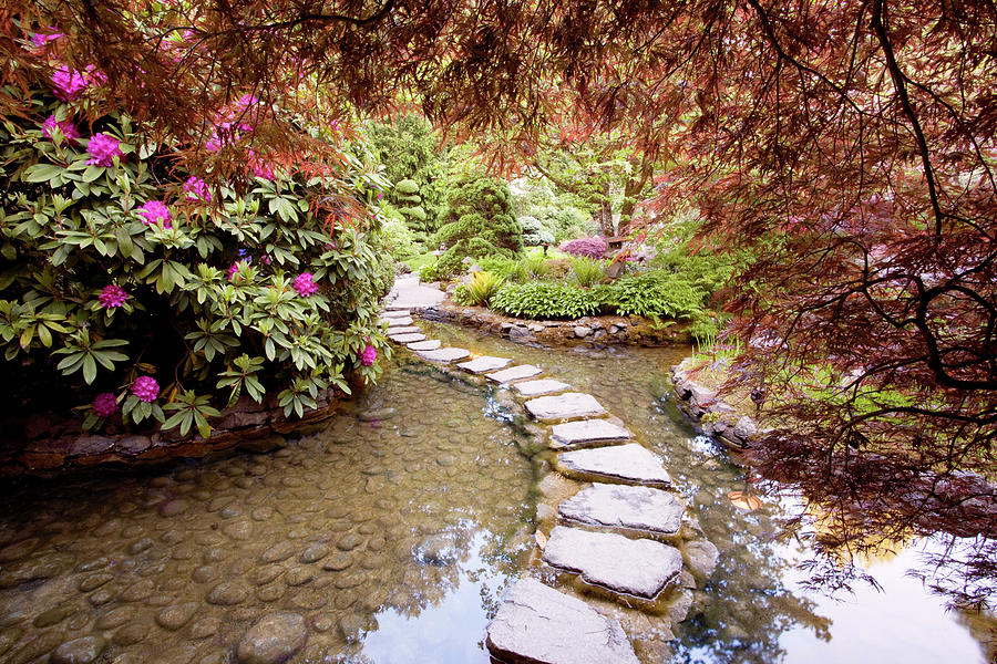 Stepping Stones At Butchart Gardens #2, Victoria, B.c. 09 - Color ...