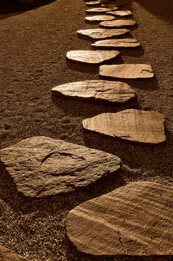 Stepping Stones Photograph by Craig Brewer