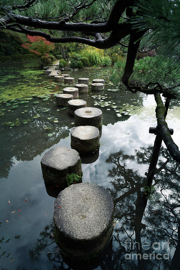 Stepping stones in a pond of Heian Jingu Shrine gardens Kyoto Photograph by Maxim Images Exquisite Prints