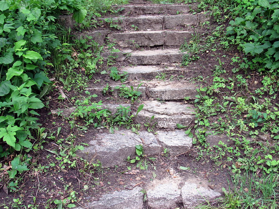 Stepping Stones Photograph by Sara Evans - Fine Art America