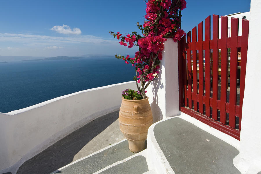 Steps And Bougainvillea Photograph by Arturbo