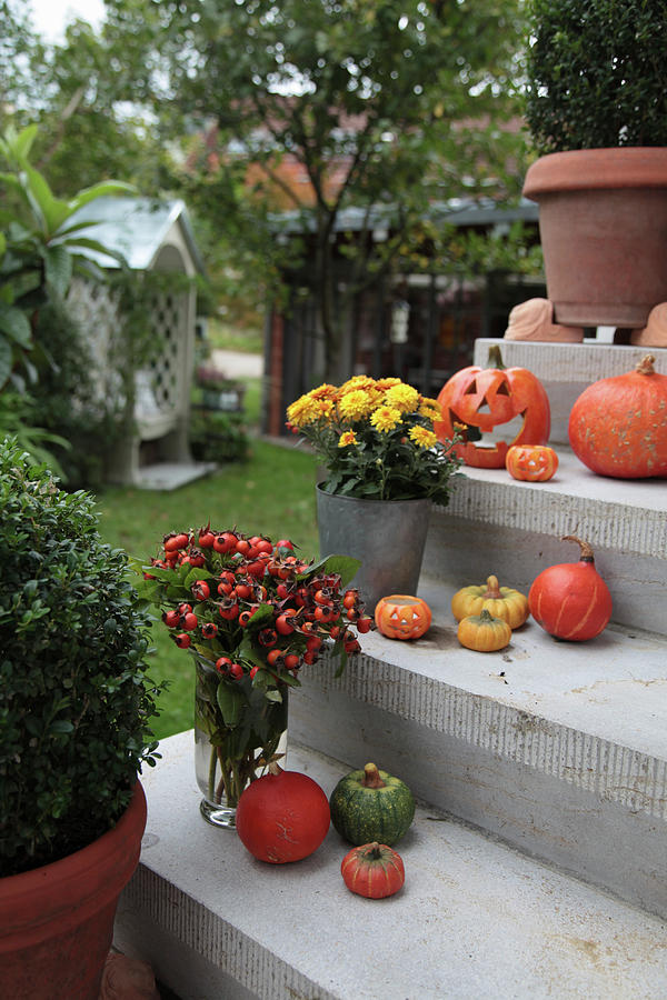 Steps Decorated For Autumn With Pumpkins, Chrysanthemums And Bouquet Of Rose Hips Photograph by Sonja Zelano