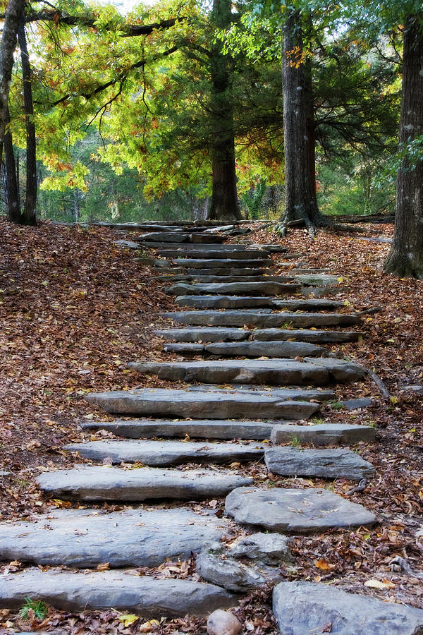 Steps Of Fall Photograph