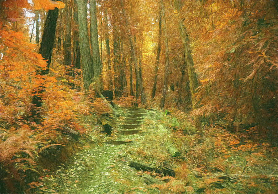 Steps to the Fantasy Forest Photograph by Bill Posner