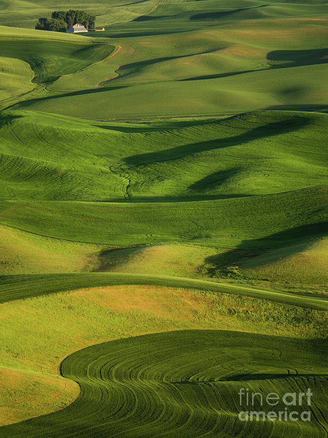 Barn Photograph - Steptoe Butte 17 by Tracy Knauer