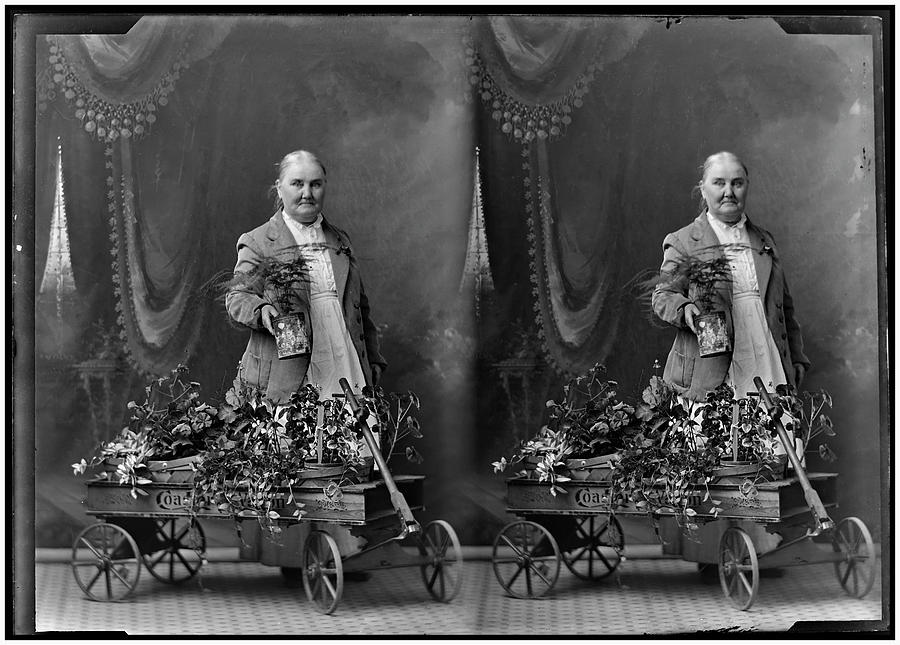Stereo Gardener by Brian Duram Stereo Gardener by Brian Duram