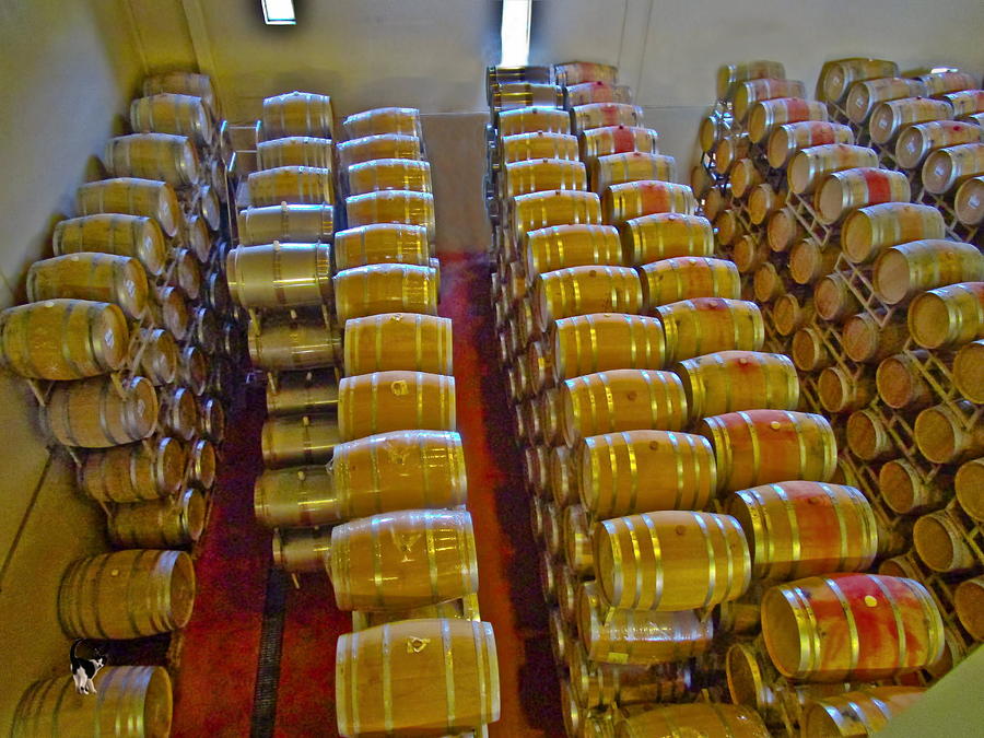 Sterling Winery Wine Barrels Photograph by Joyce Dickens