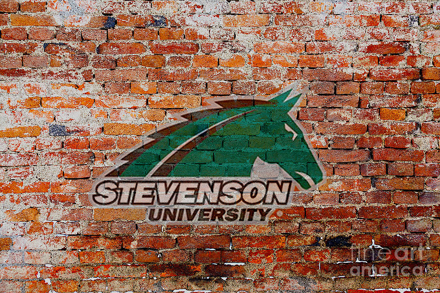 Athlete Digital Art - Stevenson University Mustangs by Steven Parker