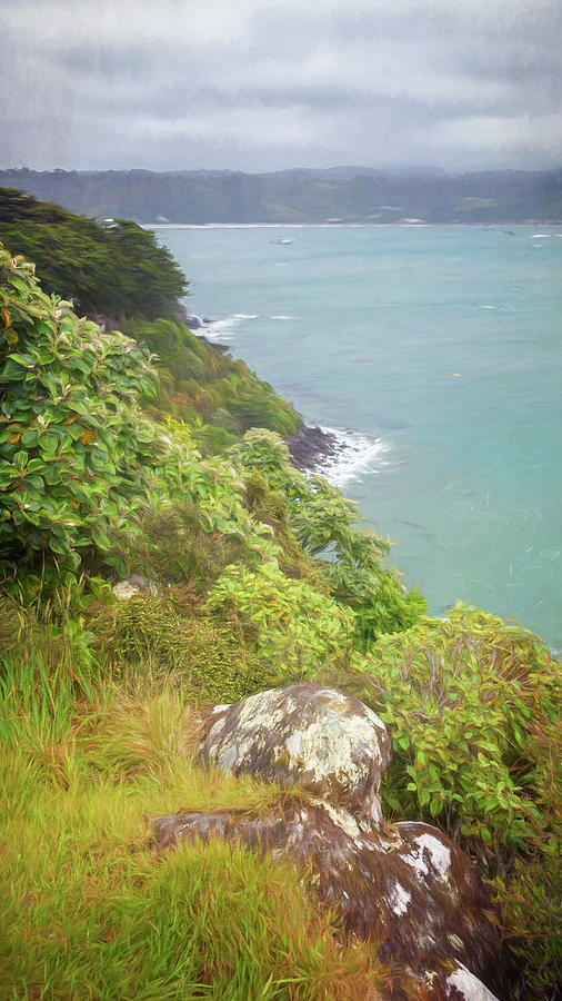 Stewart Island New Zealand Hike Photograph by Joan Carroll
