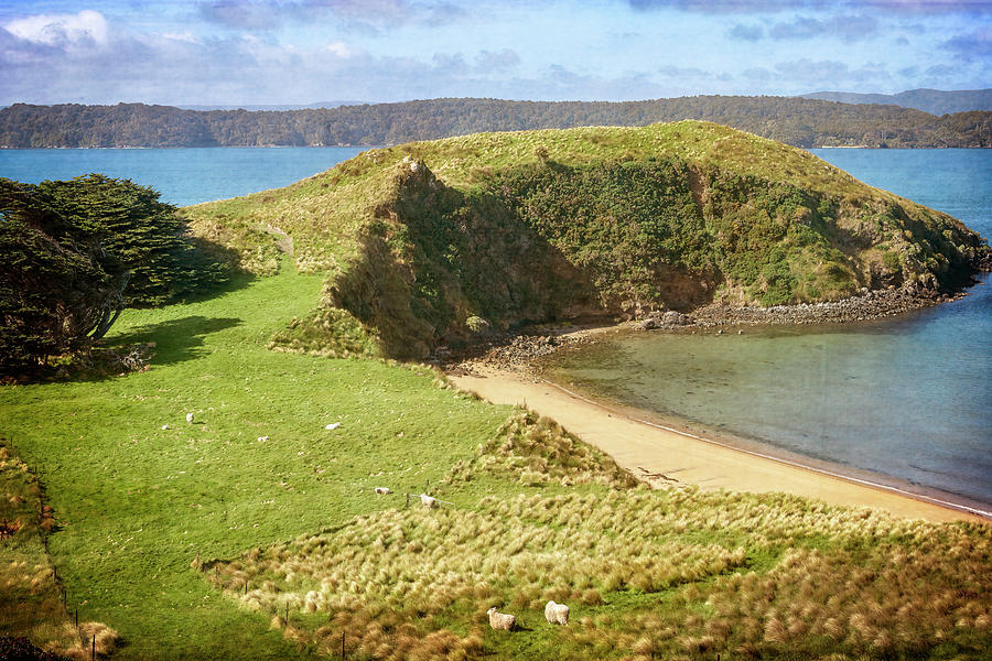 Stewart Island New Zealand Landscape Photograph by Joan Carroll