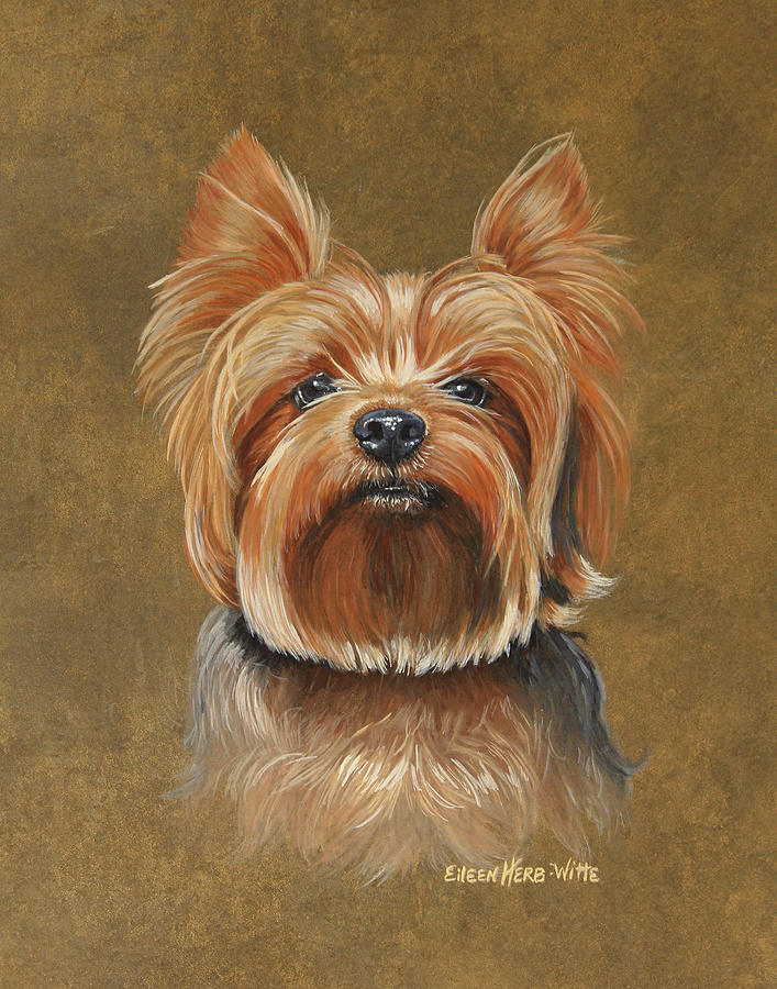 Dog Painting - Stewie Yorkie by Eileen Herb-witte