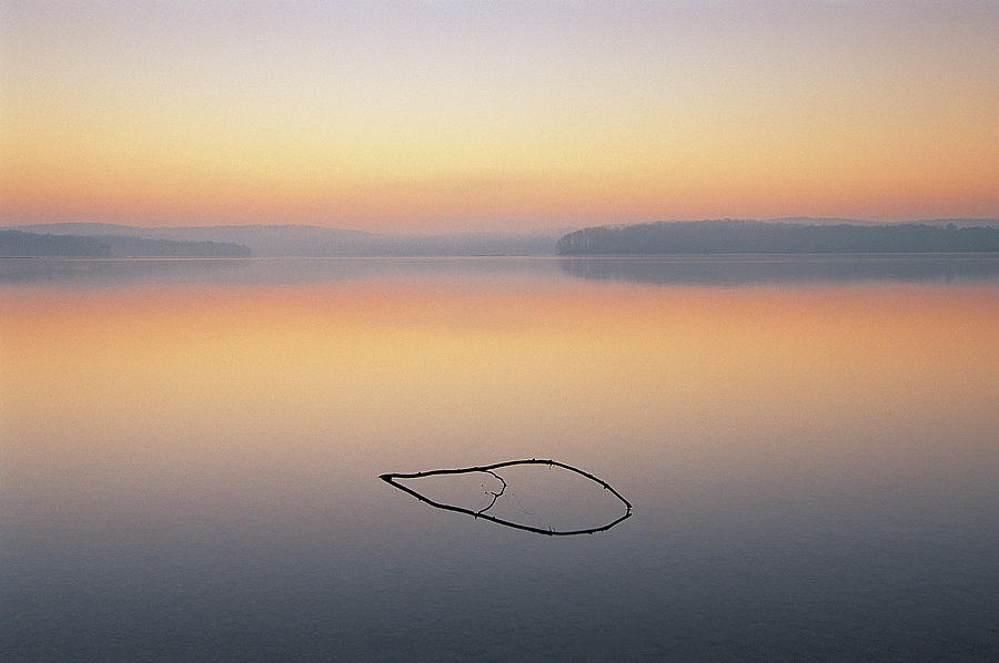Stick On Lake, Loch Raven, Maryland, Usa Photograph by Tony Sweet
