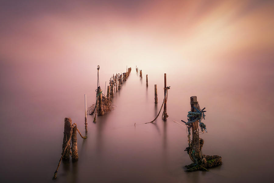 Sunset Photograph - Sticks by Joaquin Guerola