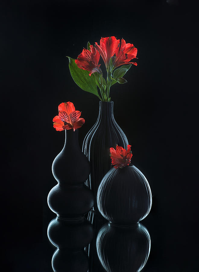 Still Life 56 Photograph by Alice Sheng - Fine Art America