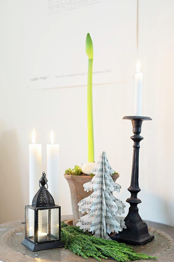Still-life Arrangement Of Amaryllis Bud, Candles And Paper Tree Photograph by Cecilia Mller