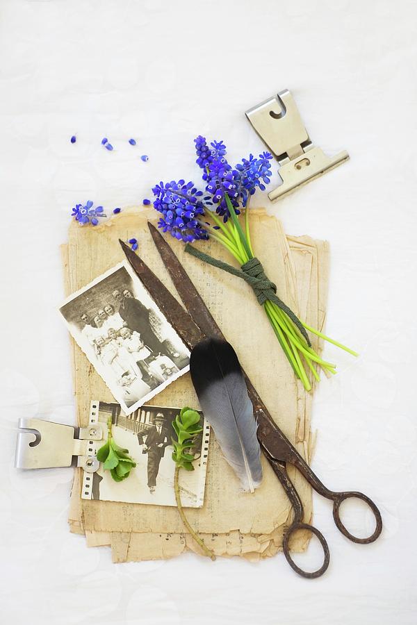 Still-life Arrangement Of Vintage Scissors, Vintage Family Photos And Grape Hyacinths On Stack Of Old Papers Photograph by Alicja Koll
