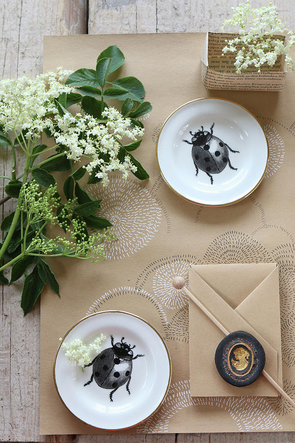 Still-life Arrangement With Elderflowers, Plates With Ladybird Motifs And Paper Crafts Photograph by Regina Hippel