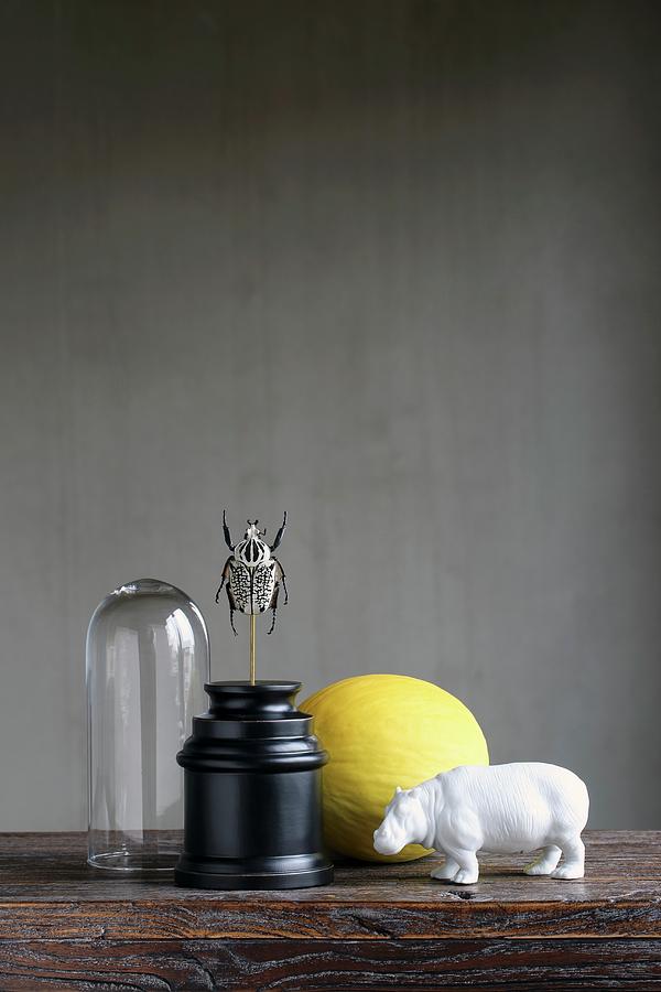 Still-life Arrangement With White Hippo Ornament And Scarab Sculpture Against Black Background Photograph by Roberto Rabe