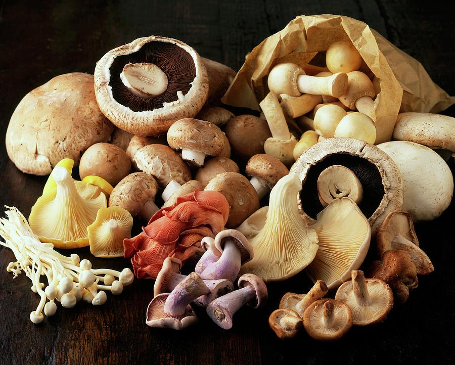 Still Life: Assorted Mushrooms Photograph by Streeter, Clive