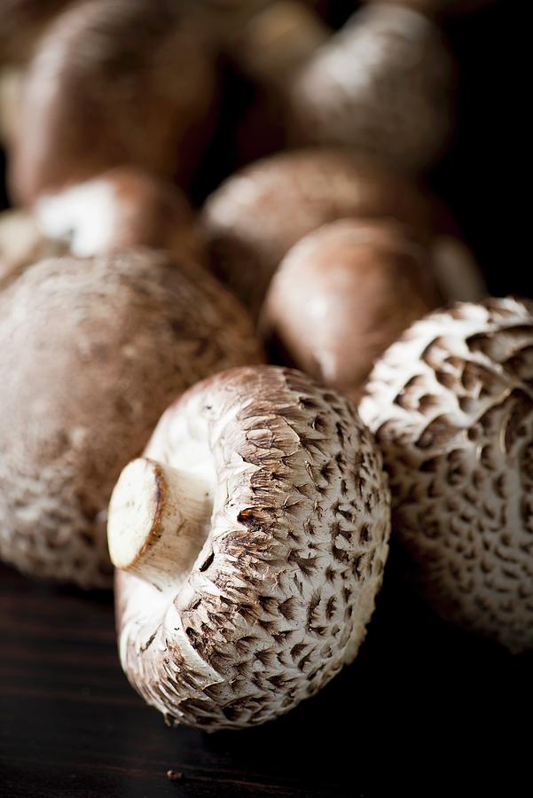 Still Life: Assorted Mushrooms Photograph by Tomasz Jakusz