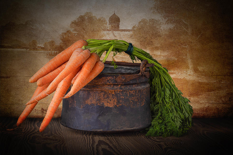 Vegetable Photograph - Still Life I carrots by Regine Richter