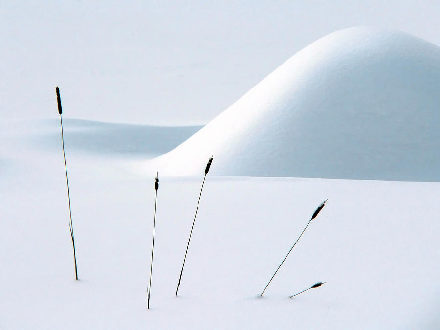 Still Life In Winter Photograph by Alain Turgeon