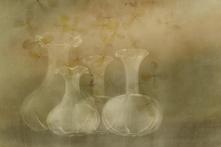 Vase Photograph - Still Life by Nel Talen