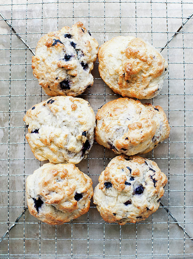 Still Life Of Blueberry Scones On Cooling Rack Digital Art by Magdalena ...