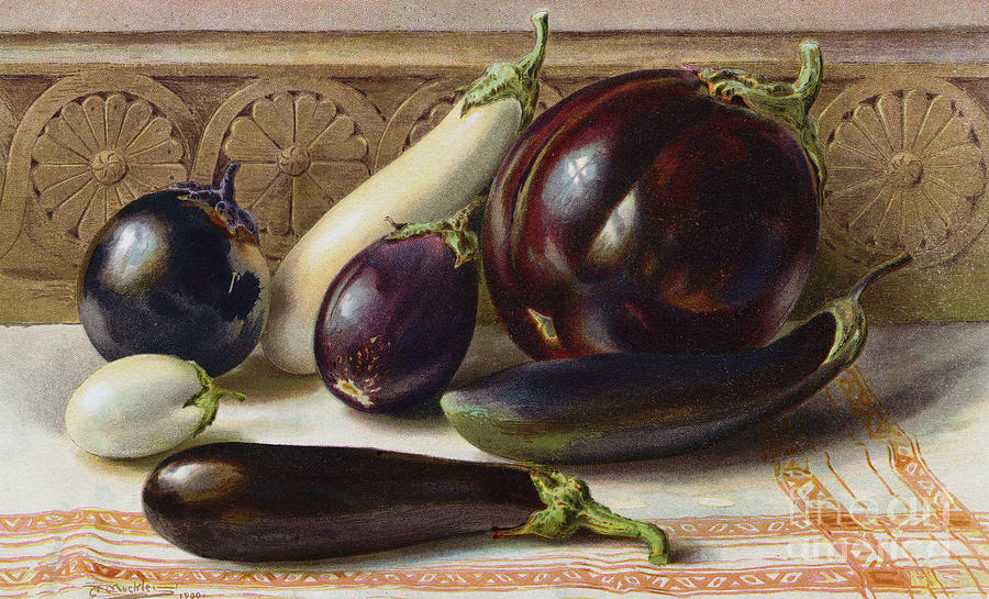 Still Life Of Eggplant Photograph by Bettmann