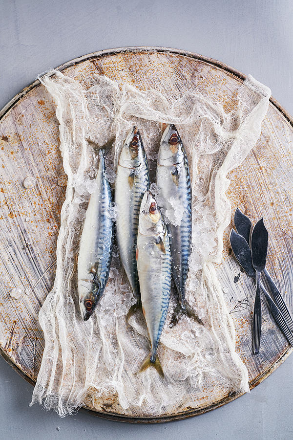 Still Life Of Fresh Mackerel Photograph by Arjan Smalen Photography ...