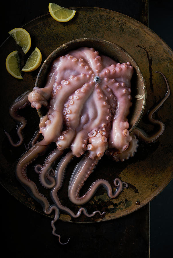 Still Life Of Fresh Octopus With Lemon Photograph by Arjan Smalen Photography