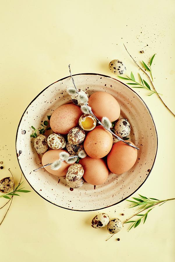 Still Life Of Fresh Spring Eggs In A Bowl Photograph by Egle Ma