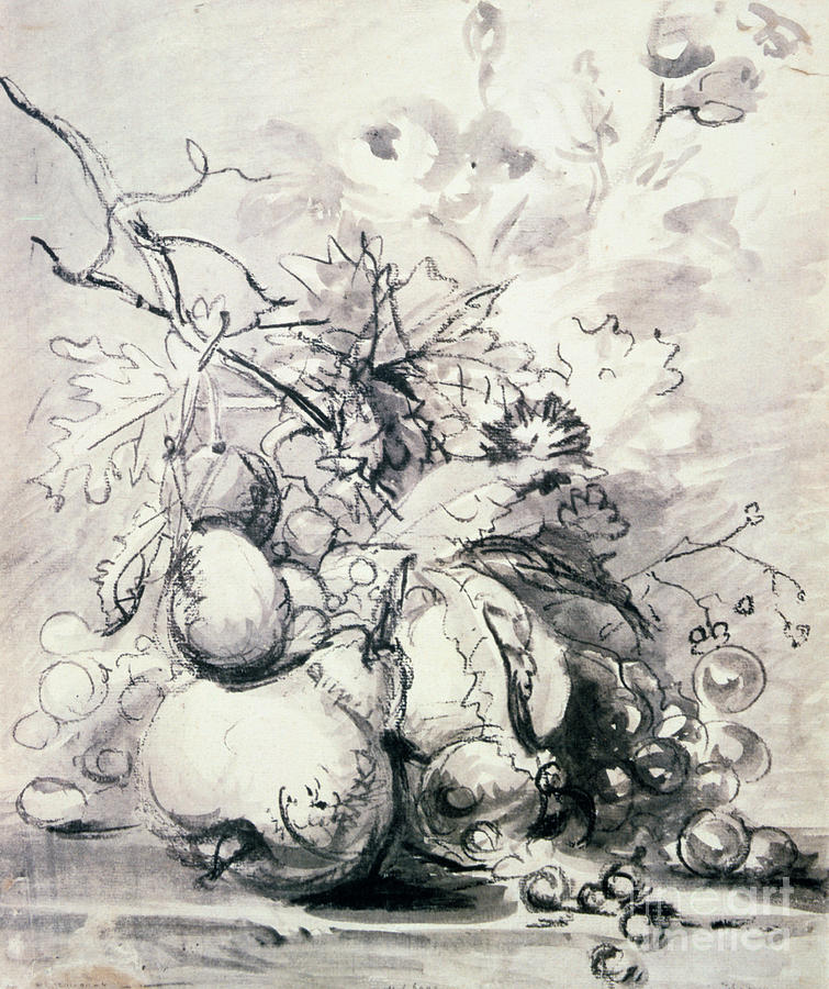 Still Life Of Fruit, 1700 - 1749 Drawing by Print Collector