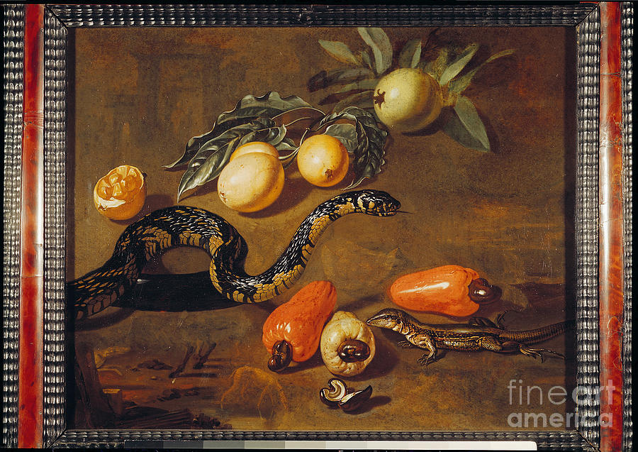 Still Life Of Fruits From Surinam And Reptiles Painting by Dirk Valkenburg